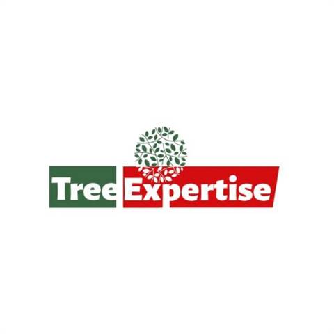 Reliable Tree Removal Services in Gainesville