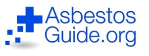  Asbestos Guide | Information, Training and Removal
